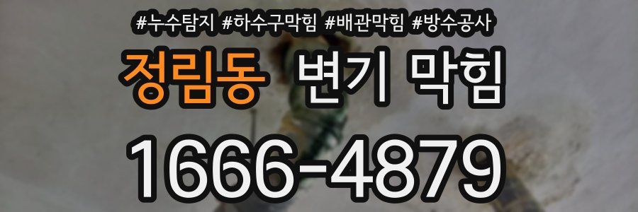 정림동 변기 막힘