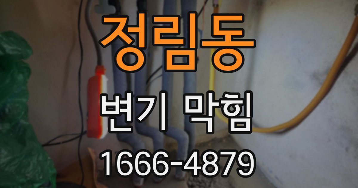 정림동 변기 막힘