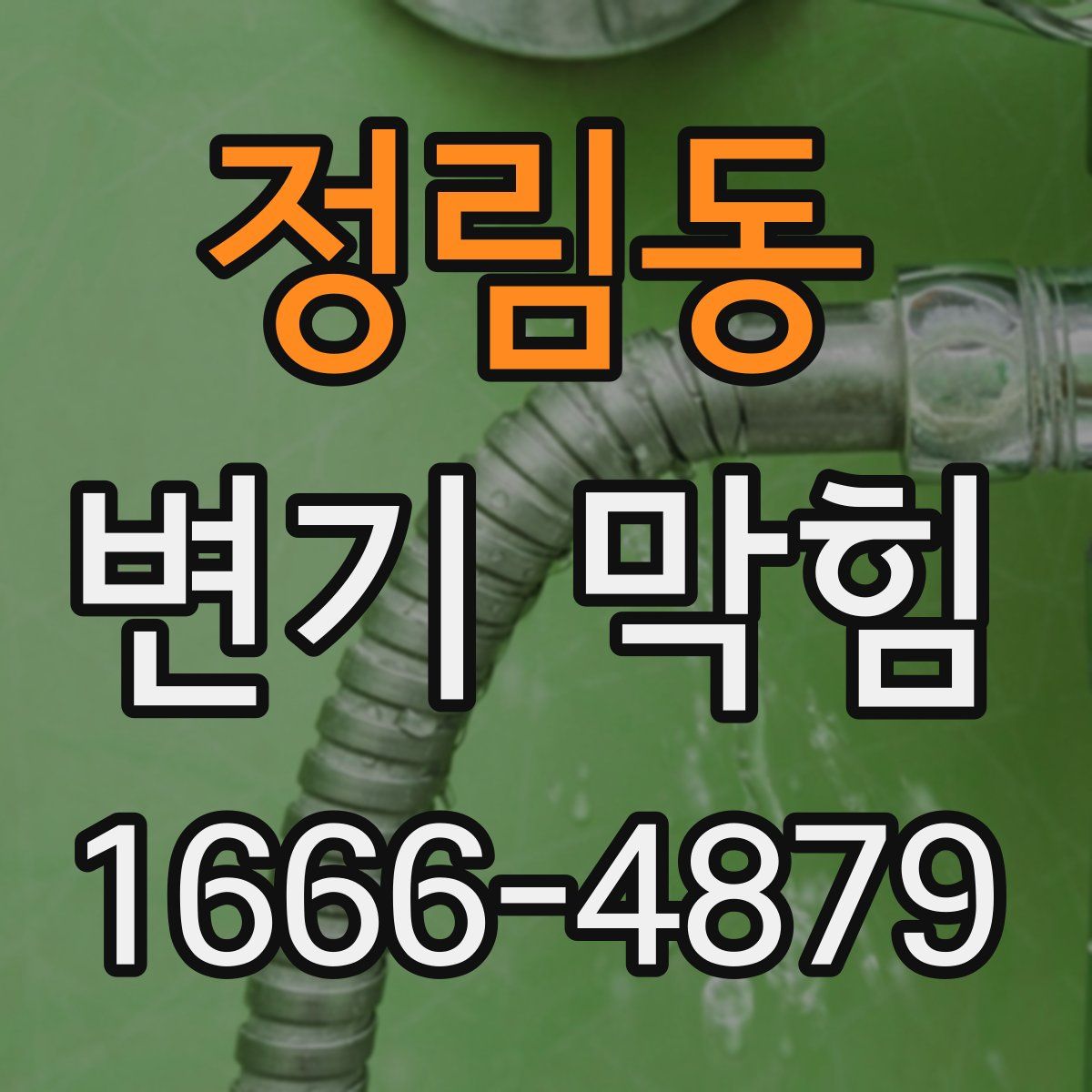 정림동 변기 막힘