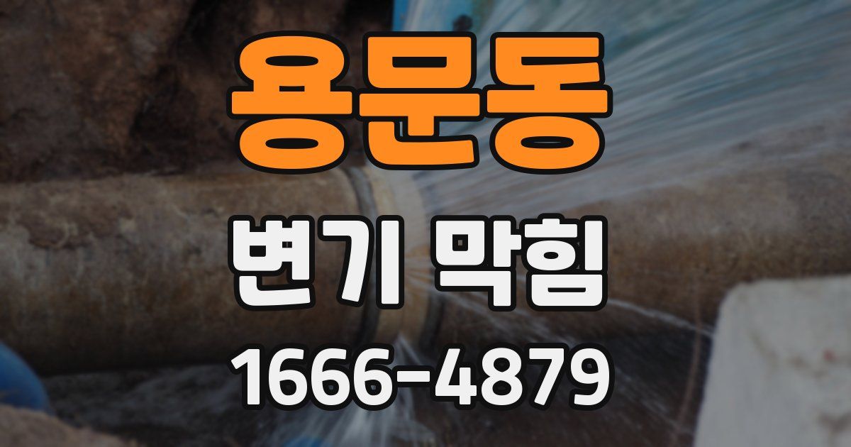 용문동 변기 막힘