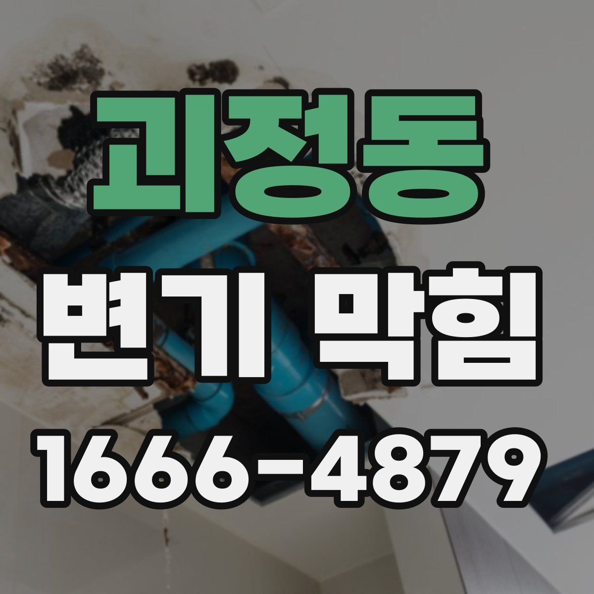 괴정동 변기 막힘