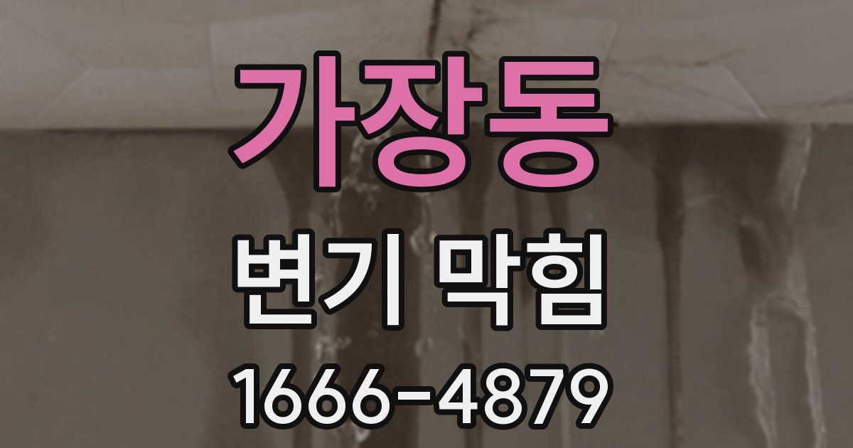 가장동 변기 막힘