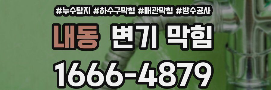 내동 변기 막힘