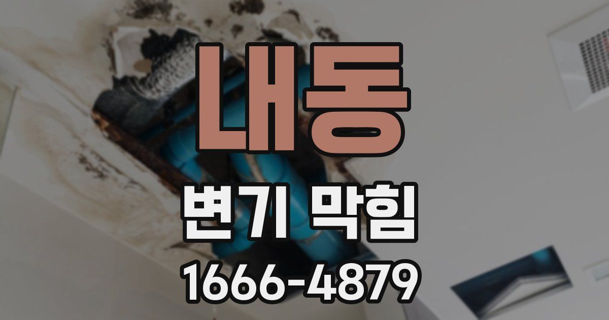내동 변기 막힘