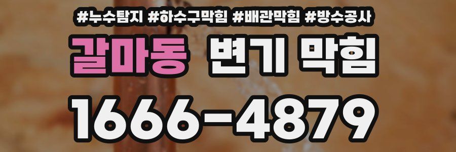 갈마동 변기 막힘