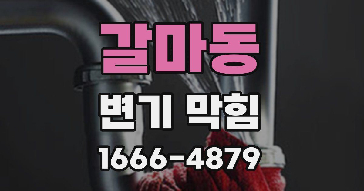 갈마동 변기 막힘