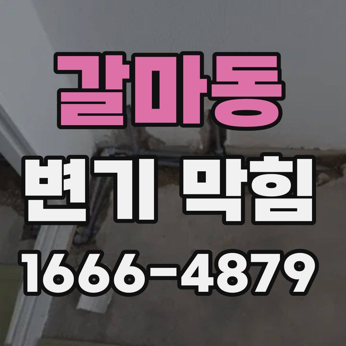 갈마동 변기 막힘