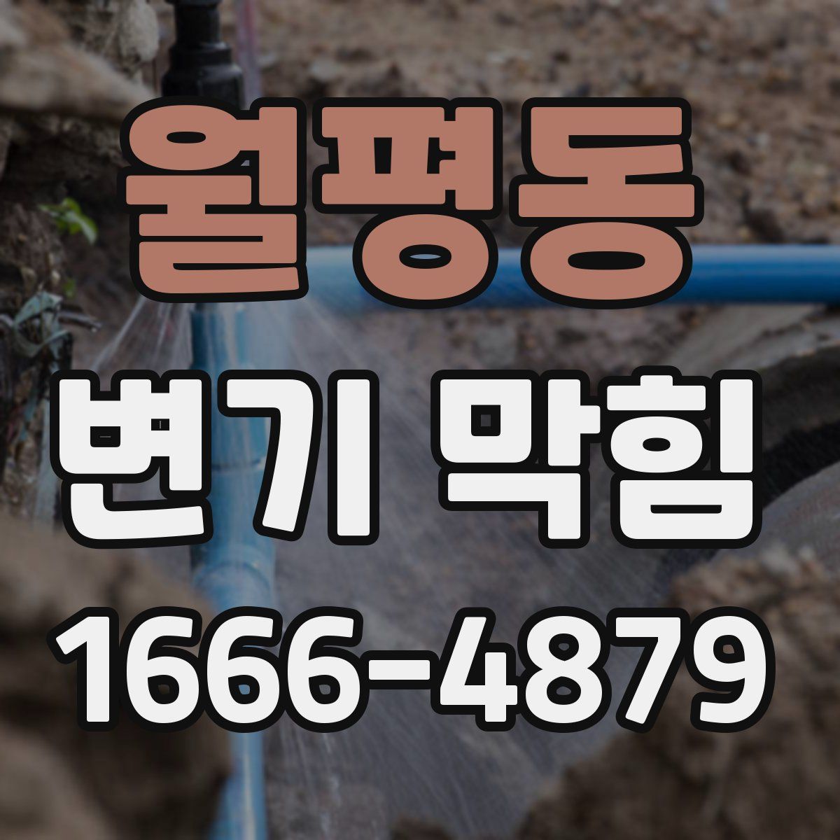 월평동 변기 막힘
