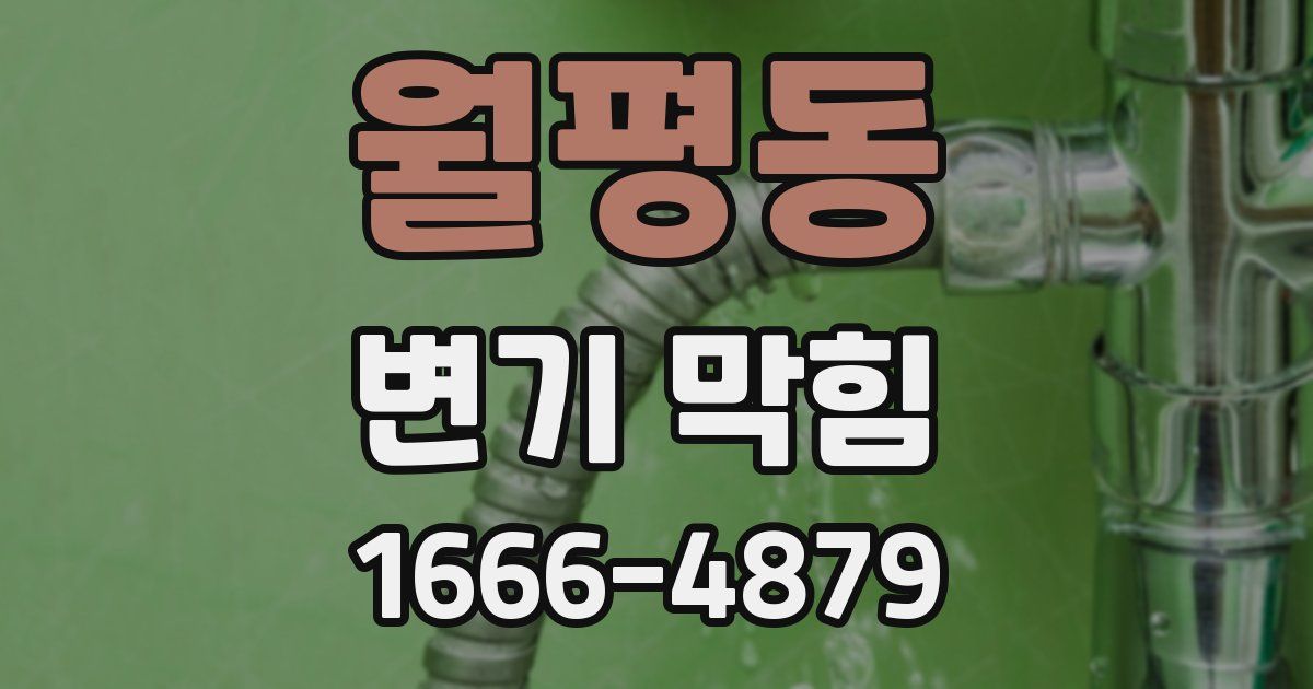 월평동 변기 막힘