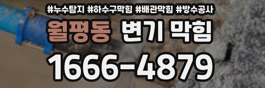 월평동 변기 막힘