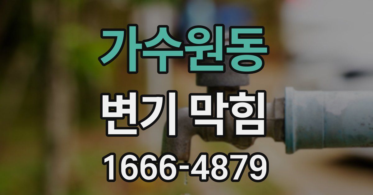 가수원동 변기 막힘