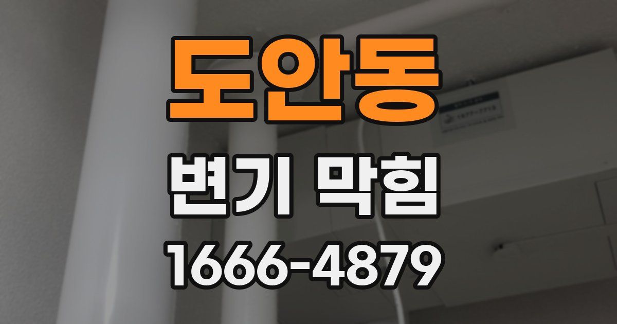 도안동 변기 막힘