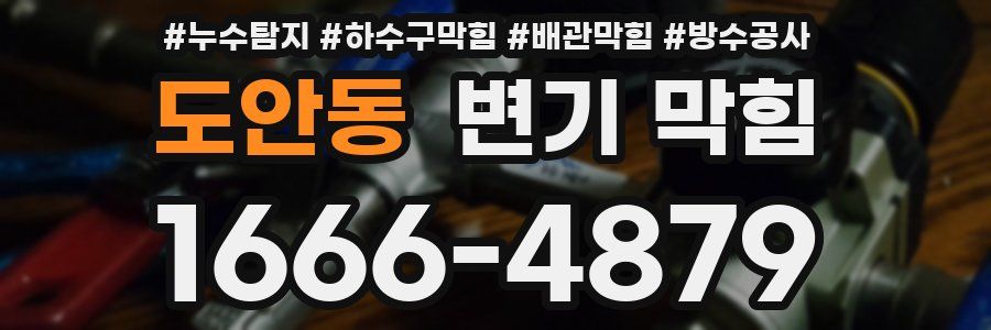 도안동 변기 막힘