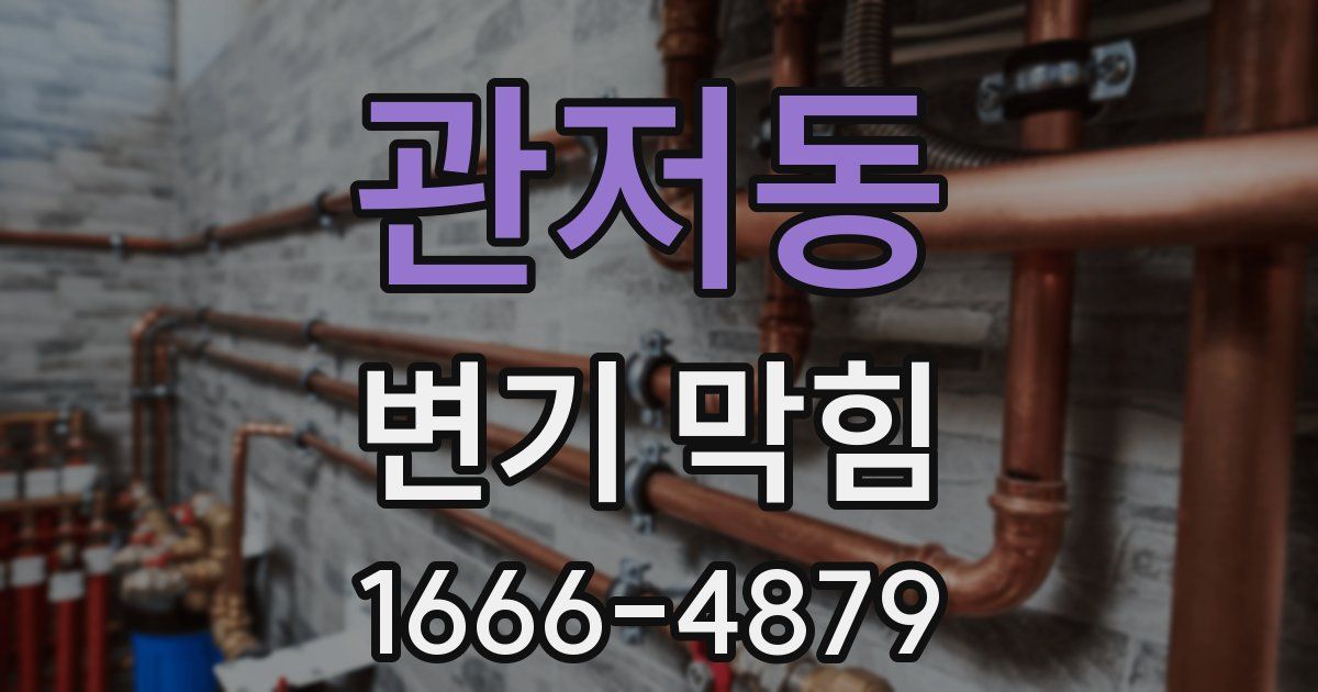 관저동 변기 막힘