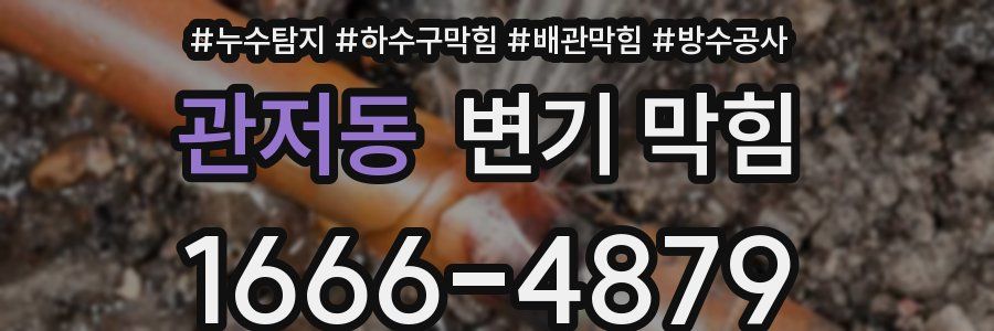 관저동 변기 막힘