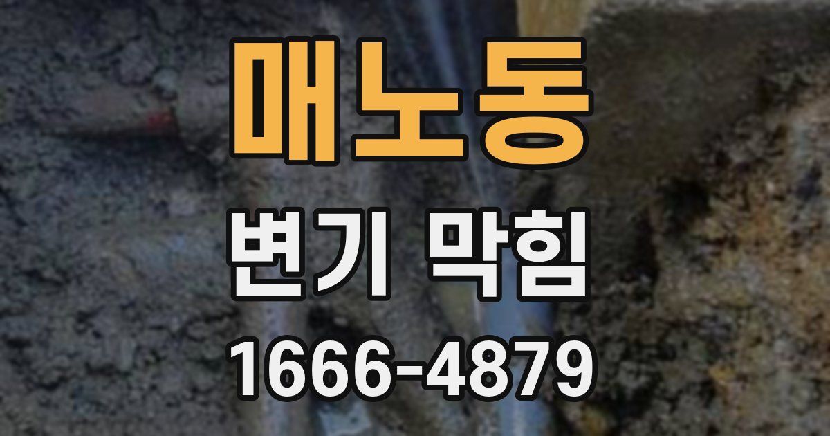 매노동 변기 막힘