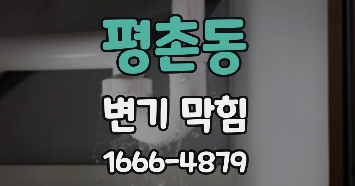 평촌동 변기 막힘