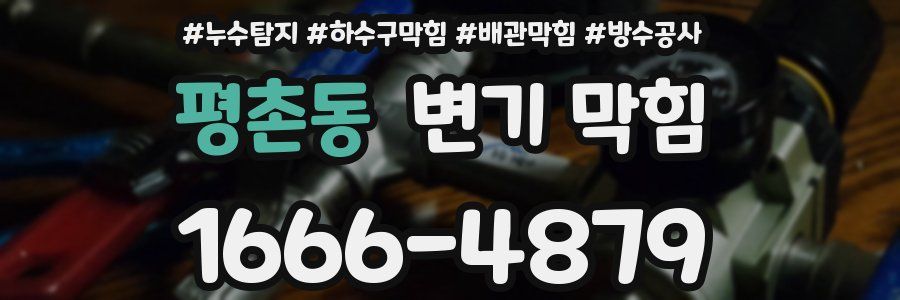 평촌동 변기 막힘