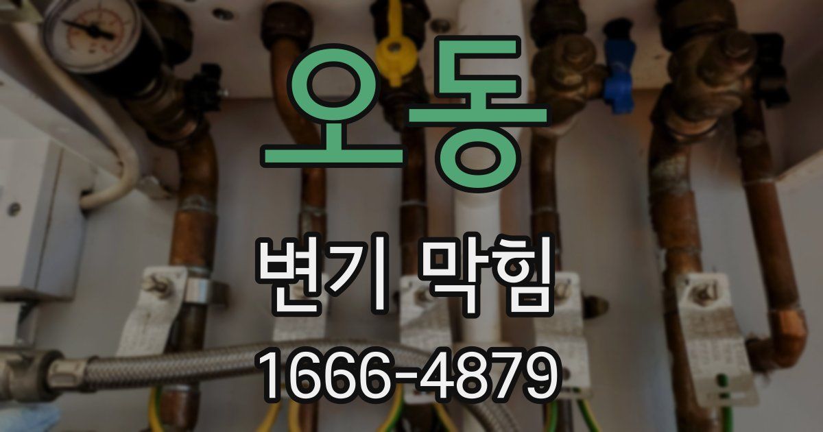 오동 변기 막힘