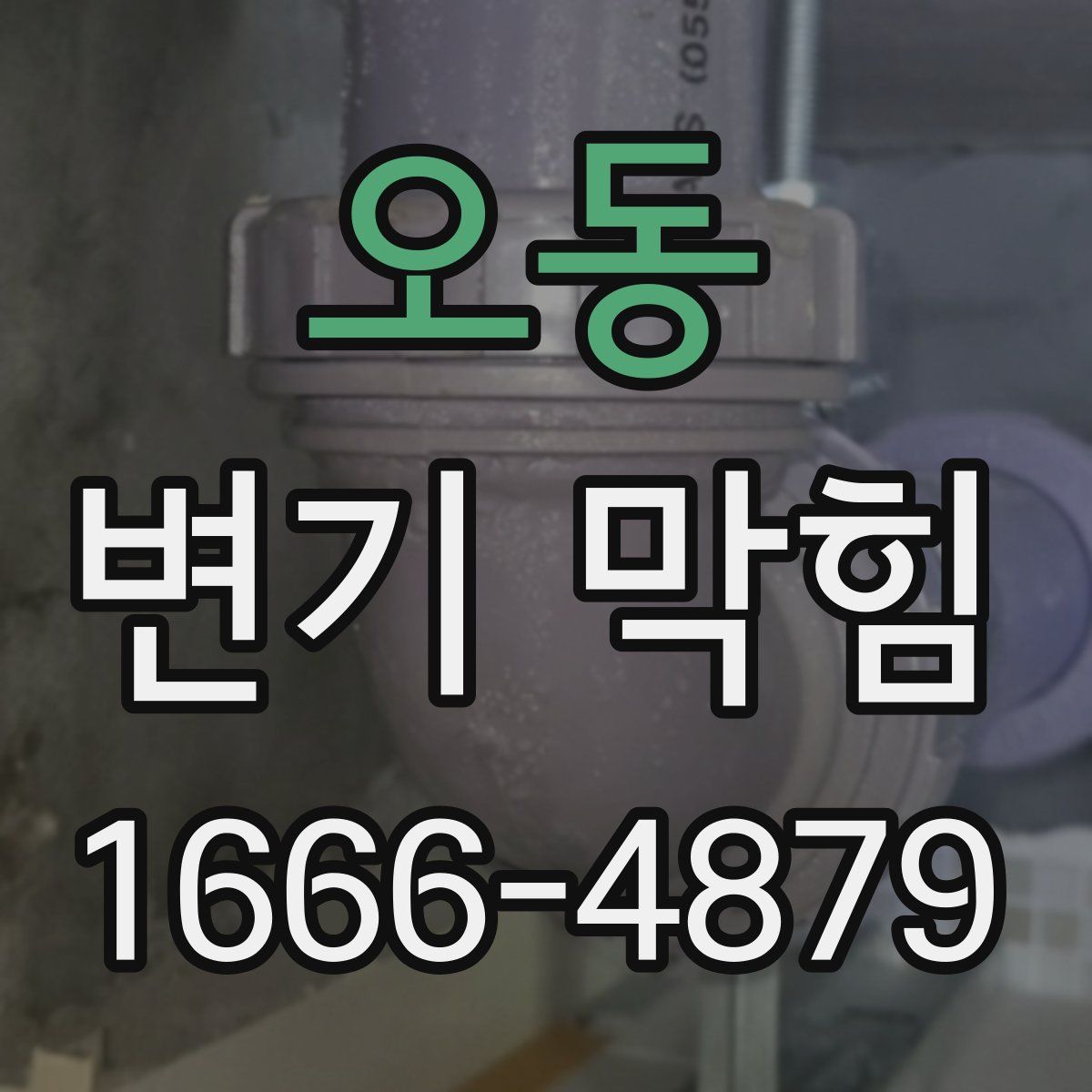 오동 변기 막힘