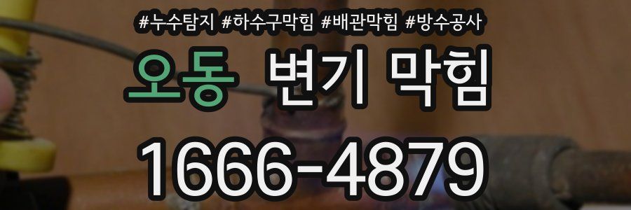 오동 변기 막힘