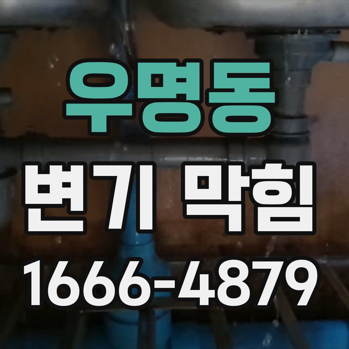 우명동 변기 막힘
