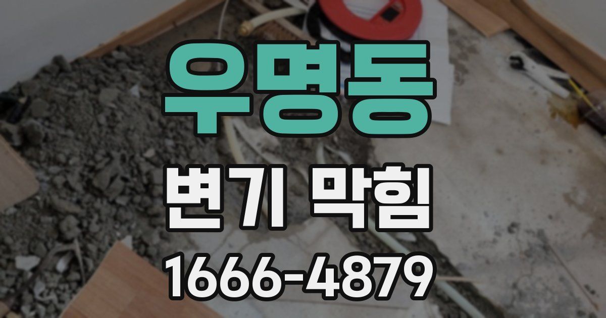 우명동 변기 막힘