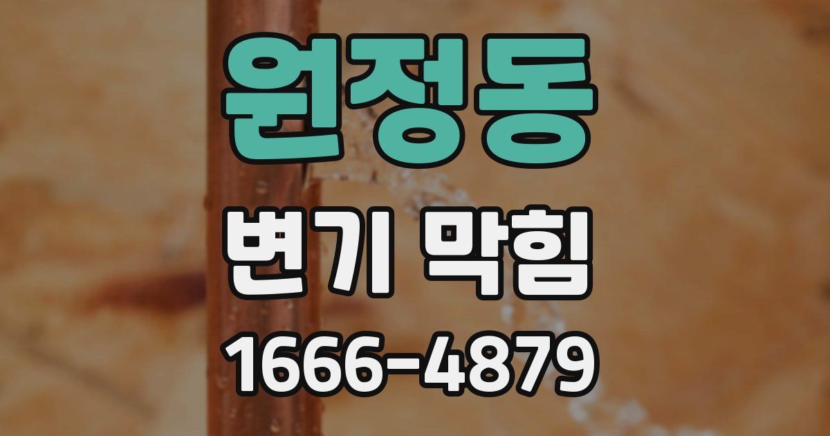 원정동 변기 막힘