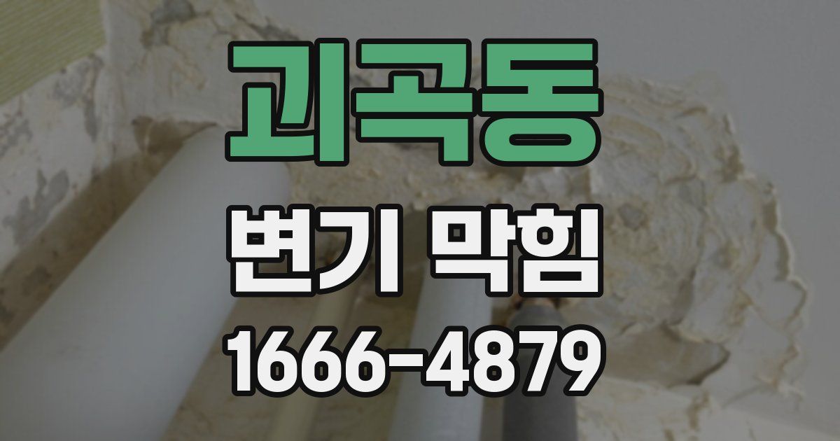 괴곡동 변기 막힘