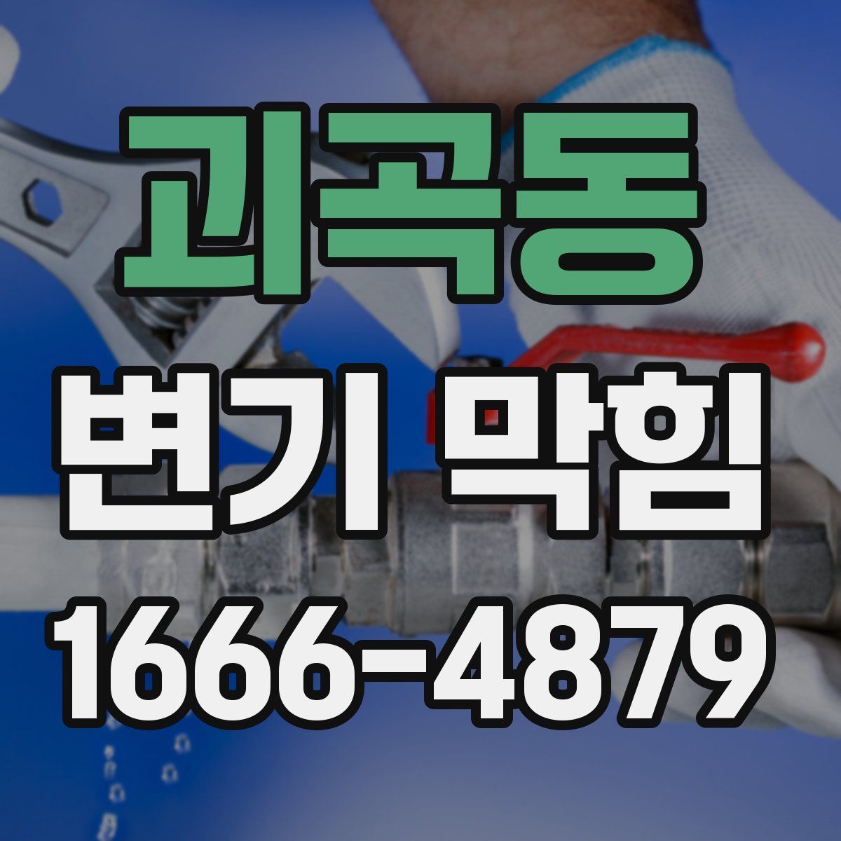 괴곡동 변기 막힘