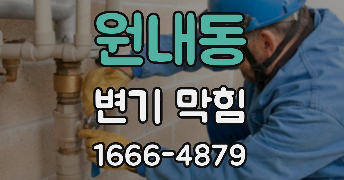 원내동 변기 막힘