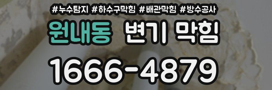 원내동 변기 막힘