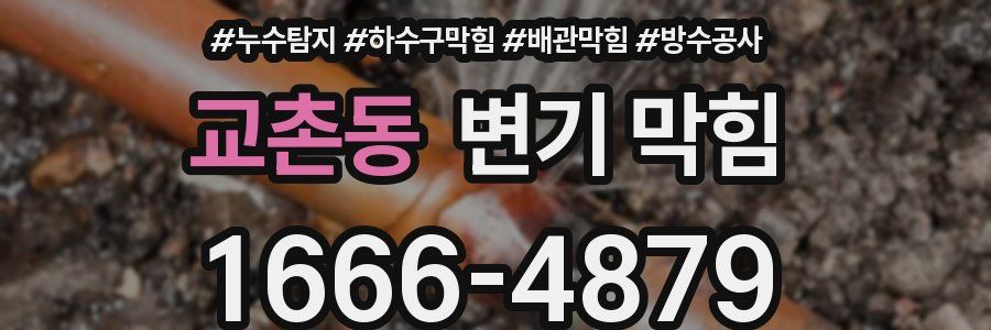 교촌동 변기 막힘