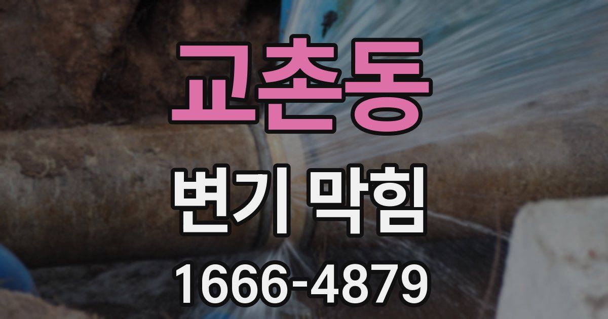 교촌동 변기 막힘