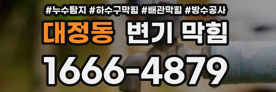 대정동 변기 막힘