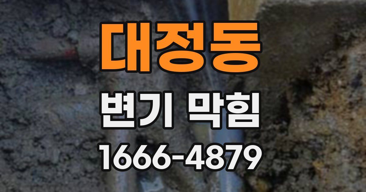 대정동 변기 막힘
