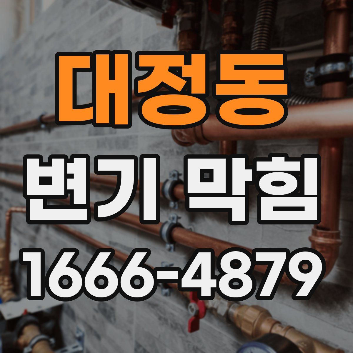 대정동 변기 막힘