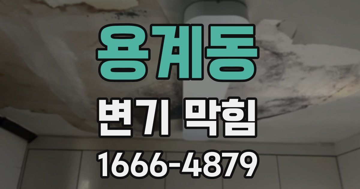 용계동 변기 막힘
