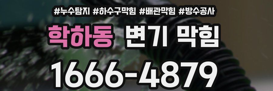 학하동 변기 막힘