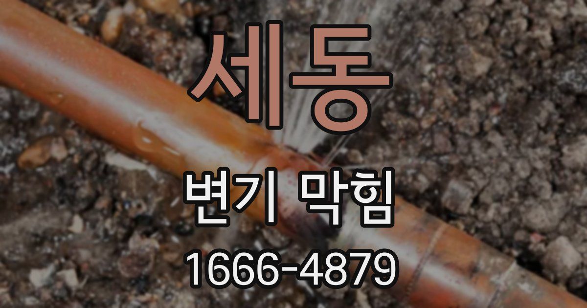 세동 변기 막힘