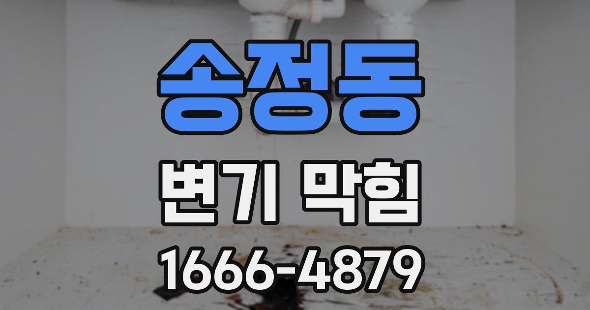 송정동 변기 막힘