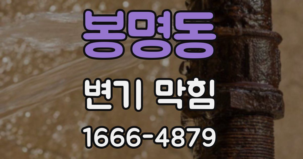 봉명동 변기 막힘