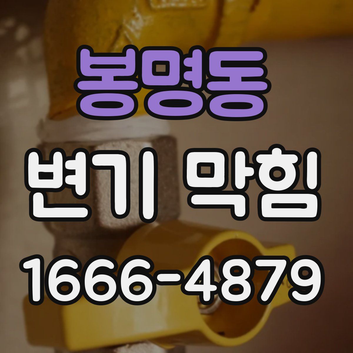 봉명동 변기 막힘