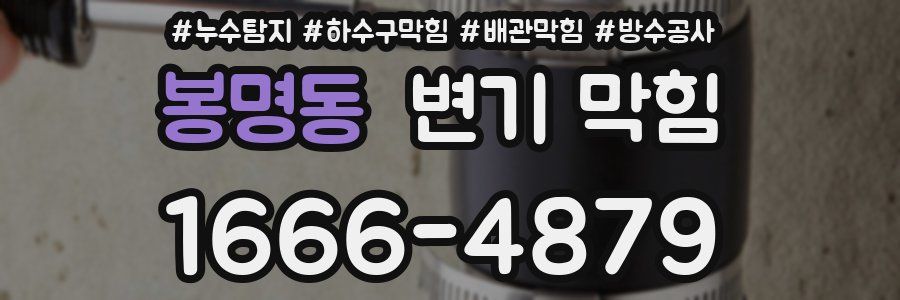 봉명동 변기 막힘
