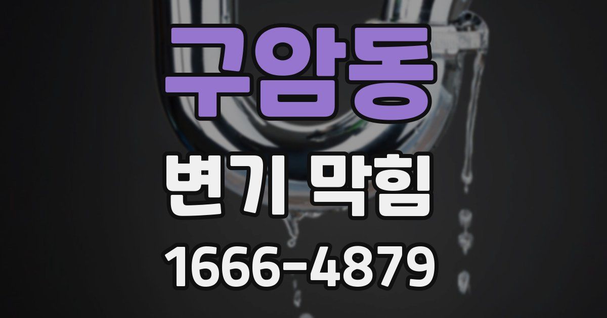 구암동 변기 막힘