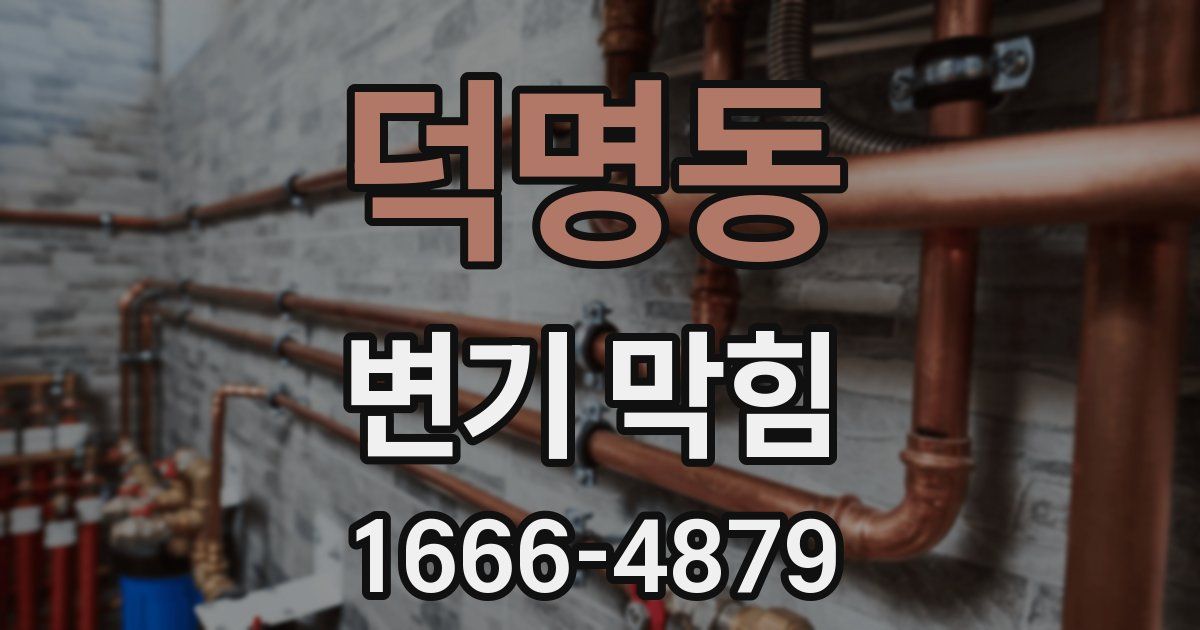 덕명동 변기 막힘