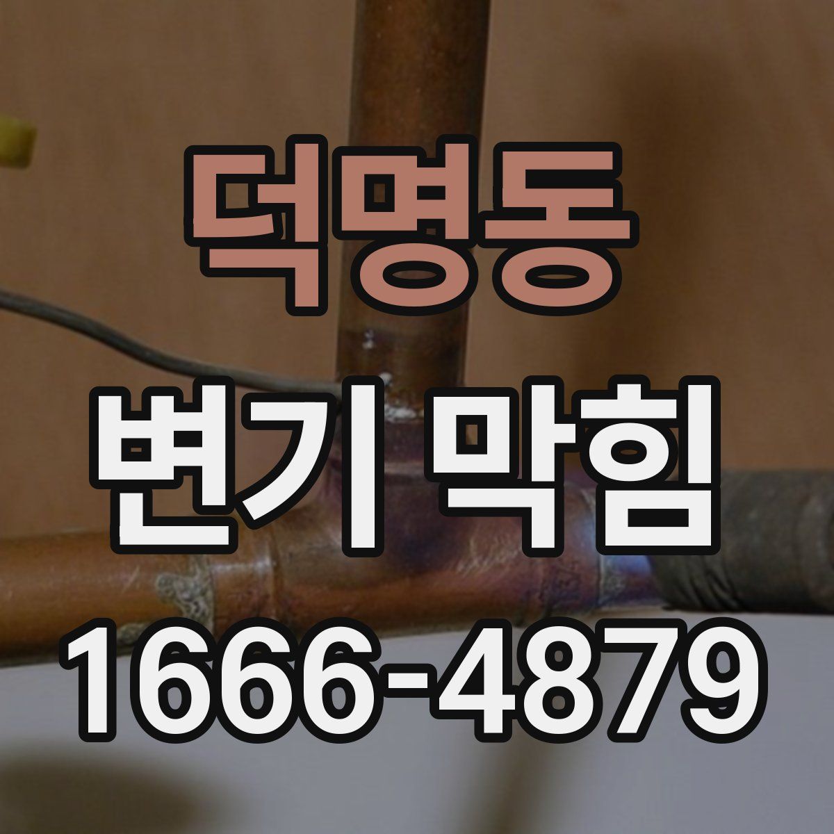 덕명동 변기 막힘