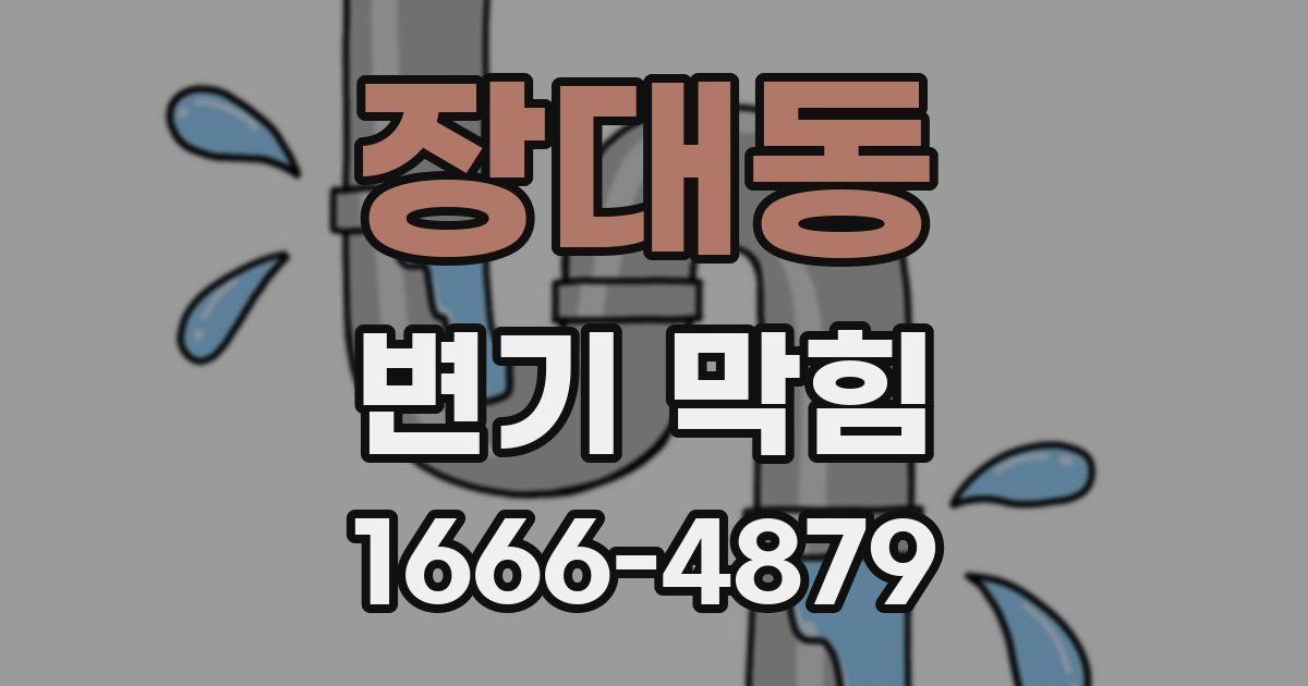 장대동 변기 막힘