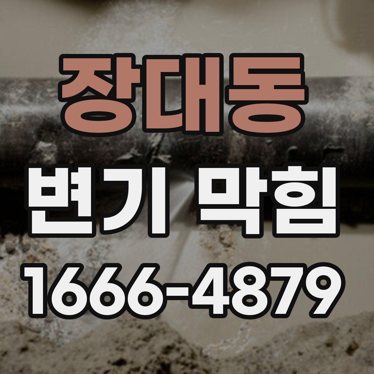 장대동 변기 막힘
