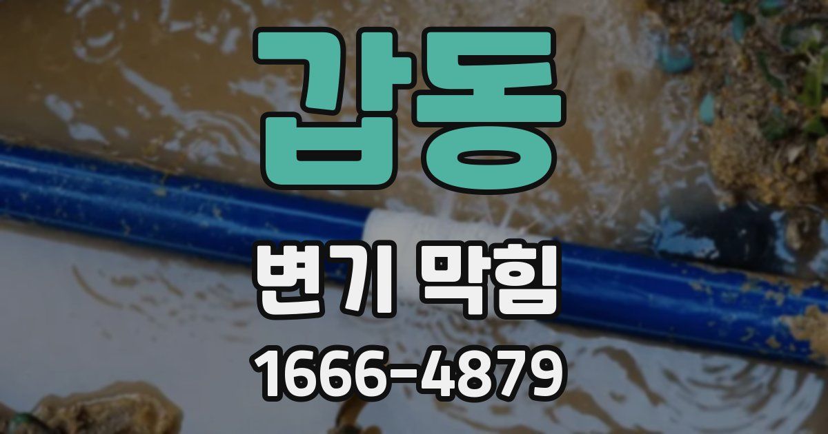 갑동 변기 막힘